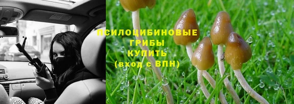 бошки Балахна